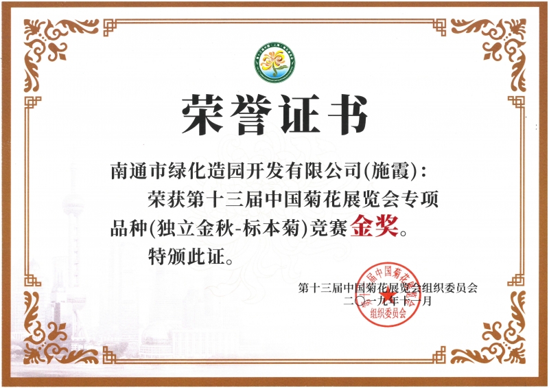 十三屆中國菊花展覽會專項品種（獨立金秋-標本菊）競賽金獎（施霞）