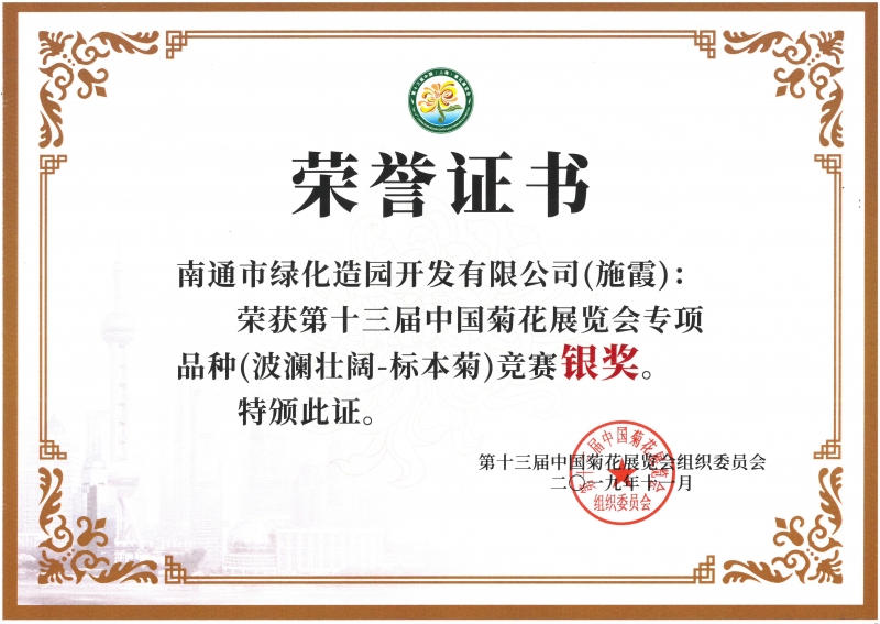 十三屆中國菊花展覽會專項品種（波瀾壯闊-標本菊）競賽銀獎（施霞）