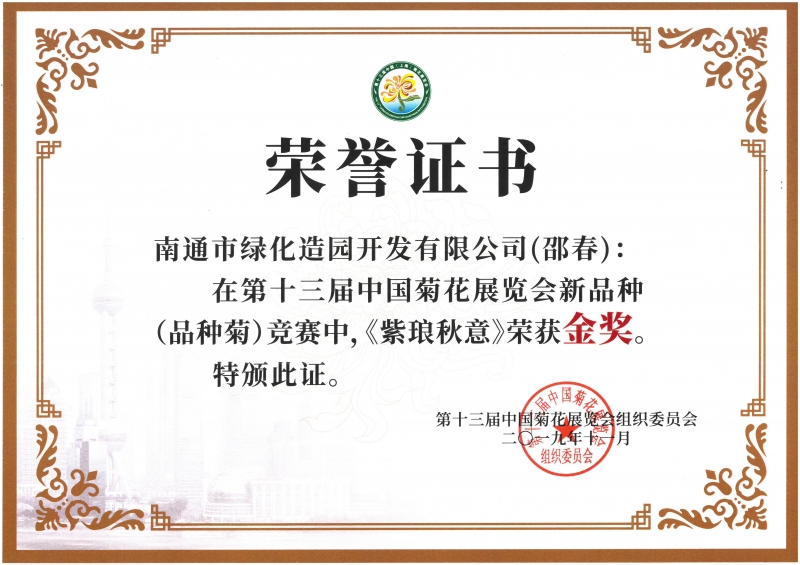十三屆中國菊花展覽會新品種（品種菊）競賽中，《紫瑯秋意》榮獲金獎（邵春）